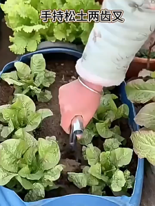 【การจัดส่งที่รวดเร็ว】ส้อมพรวนดินสองง่ามมือถือ เหล็กหนา1.8มม.+ด้ามท่อกลม แรงทน>200 เหมาะสำหรับทำไร่-สวนครัว