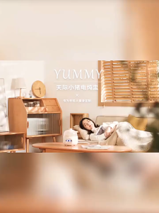 Ready Stock - TONZE Yummy 1L Glass Slow Cooker – Silent Stewing Visual Inner Pot 9-Level Keep Warm