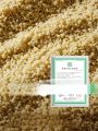 Organic Hemp Protein Powder Plant Based Vegan Meal Replacement Fitness Food Breakfast Supplement Natural Health Powder. 