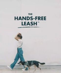 Zee.Dog | Hands-Free Leashes