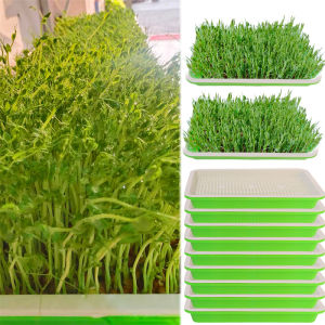 Creative Germination Special Seedling Tray Dense Grid Seed Hydroponic Flowerpot Advanced Double-layer Seedling Planting Tray Gardening Tools