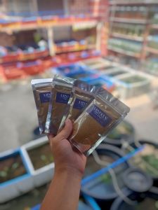 MINEKUS GELFOOD FOR YOUR FISHES FISH PUDDING FOR YOUR FISH 50g - Fish food - Gel-like texture - 50g packets - Suitable for aquarium fish - Indoor fish tank setting