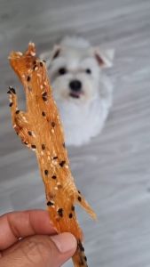 เนื้อไก่โรย งาขาว งาดำ ขนมสุนัข UMm ขนมหมา