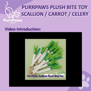 PurrPaws Plush Bite Toy: Scallion / Carrot / Celery (Mainan Kucing Gigitan: Daun Bawang / Lobak Merah / Seledri