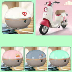 High Capacity Storage Box For Electric Scooter