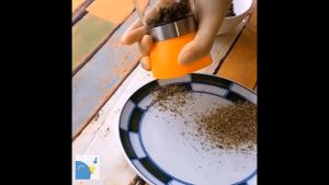 Lọ xay hạt tiêu cầm tay lọ/cối xay tiêu lưỡi sắc bén dộ dày bột mài có thể điều chỉnh-HAUSE