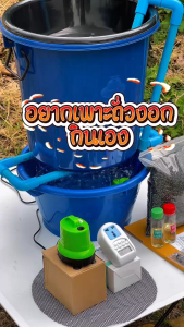 ถังเพาะถั่วงอก ชุดพร้อมปลูก+เมล็ด+ฮอร์โมน แถมสูตรเพาะถั่วงอกสอนทุกขั้นตอน สำหรับมือใหม่ แม่ค้าปลูกขายเอง