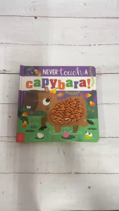 Never Touch A Book Series Touch and Feel Sensory Book Children Board book Make Believe Ideas