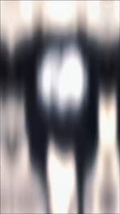 LC.TRADING เสื้อยืดพิมพ์กราฟิกใหม่ ลายทันสมัย ลายคมชัด สีสด มี5 สีให้ได้เลือกใส่ สินค้าพร้อมจัดส่ง ส่งด่วน ส่งไวB0221