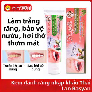 Rasyan Toothpaste Fresh Breath Adult Men Women Special Formula for Whitening Teeth And Bad Breath Elimination Long Lasting Mint Flavor