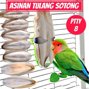 [[ 1 PACK ISI 3 BIJI ]] TULANG SOTONG MAKANAN ASINAN BURUNG - HAMSTER - KURA2 ((PTTY#8))