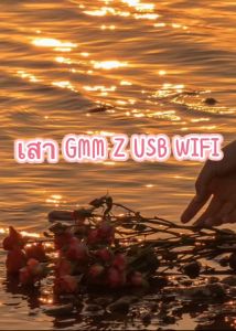 USB WiFi เสา GMM Z สำหรับกล่องดาวเทียมGMM Z (รุ่น Smile+ HDI) - คุณประสบความสำเร็จในการเชื่อมต่อกับเทียม GMM Z