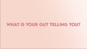 Shaklee Prebiotic + Probiotic Raspberry Fruit Drink Premix 30 Sticks 嘉康利