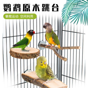 Natural  Wood Bird Stand Platform for Parrots Grinding Beak Tongue Tiger Skin Peacock Wood Station Toy for Pets