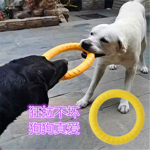 Interactive Dog Training Toy Ball Pull Ring Flying Disk Pet Supplies for Golden Retriever Malamute Dog Rubber Ball Toys