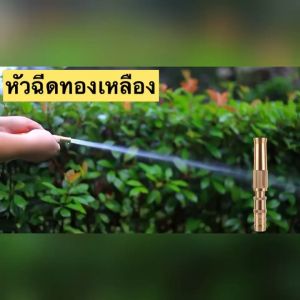 ปืนแรงดัน ปืนฉีดน้ำ ปืนฉีดน้ำแรงดัน หัวฉีดแรงดัน หัวฉีดล้างรถ หัวฉีด ทองเหลือง แรงมาก ล้างรถ รดน้ำต้นไม้ ทนสุดๆ