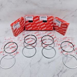 RING SEHER STD STANDAR KOMPLIT HINO DUTRO HT130 130HT EURO 4 1SET 4PCS