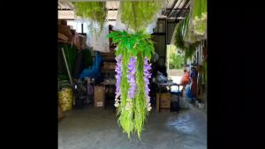 กระเช้าเฟิร์นหางหงษ์วิสทีเรียเทียม เหมือนจริงมากๆ แต่งบ้าน แต่งร้าน