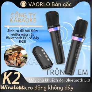 DS-K2 Bluetooth 5.3 Micro Hát Karaoke Không Dây Có Đèn RGB KTV DSP Trộn Hệ Thống Cho Loa Có Dây Ô Tô-Cầm Tay Đa Hướng