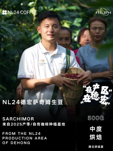 Exquisite Double Washed Sarchimor Coffee Beans from Dehong Yunnan Premium Green Beans for Various Brewing Methods