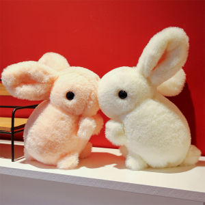 GUAIBUDIAN | Cute Plush Toy Rabbit Pair
