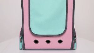 Pet Carrier Bag Portable Pet Outdoor Travel Backpack Capsule Dog Cat Transparent Space Carrying Cage