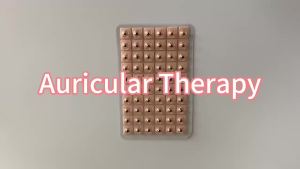600/1200 Chiếc Thư Giãn Tai Dán Châm Cứu Kim Trị Liệu Miếng Dán Auriculotherapy Chăm Sóc Massage Vaccaria Hạt Dụng Cụ Chăm Sóc Cơ Thể