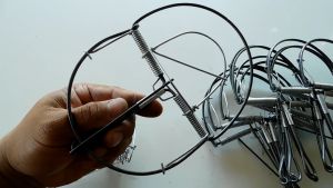 ดักหนู 6 นิ้ว กับ เหล็ก วงเดือน และ ดักหนู 1 มัด 10 ชิ้น