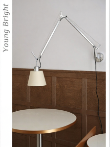 Flexible Arm Antique Wall Light