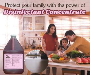 Powerclean DISINFECTANT CONCENTRATE: Gallon Size Multi-Purpose Cleaning Solution