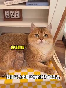 Cat Hair Storage Fridge Magnets Cat Whisker Holder Cat Hair Collection Fridge Magnets Pet Fur Keepsake Capsule DIY Souvenirs