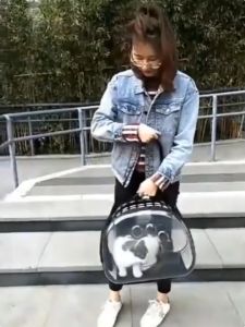 Pet Carrier Tas Kucing Ransel Hewan Peliharaan Yang Mudah Dibawa EVC Apricot Travel Tas Anjing Aksesoris Kucing Grey 7.5KG