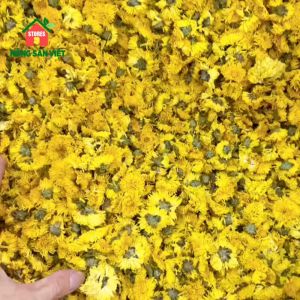 Trà Hoa Cúc Vàng Sấy Khô 100gr (Hoàng Cúc) Nguyên Bông Tự Nhiên Trà Hoa Cúc Organic Nhập Khẩu Trà Hoa Cúc Việt Nam Cao Cấp - Lazada