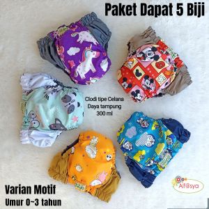 Popok Cuci ulang Paket Hemat 5 Biji popok bayi popok anak Clodi termurah