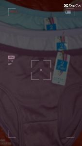 12 pcs Celana Dalam Wanita ESSE Multi colour Murah size M - L- XL- XXL-celana dalam wanita dewasa/ pakaian dalam perempuan