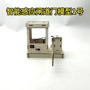 Childrens Science and Education Experiment Models DIY Smart Sensor Door Science and Education Toys and Gifts