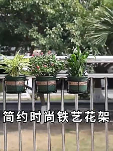 Iron-structured balcony railingwith hangin flowerpot rack hanging spiderplantwindowsill bonsai frame