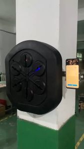 Ready Stock Smart Music Boxing Trainer Electronic Boxing Practice Wall Arcade Game Portable Target Machine Hanging
