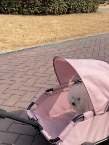 SG Seller Pet Stroller Foldable 2-in-1 Pet Shopping Cart with Sunshade Canopy Lightweight 2.3KG Dog Stroller Cat Stroller for Small Medium Dogs Cats Portable Travel Carrier with Safety Buckle