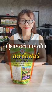 ต้นมังคุด โตไว ใบเขียว แข็งแรง ด้วยปุ๋ย สตาร์เฟอร์ 30-20-5 สูตรสร้างการเจริญเติบโต ด้านลำต้นและใบ