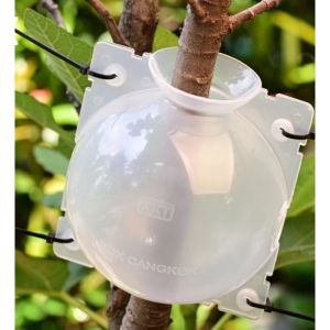 WADAH CANGKOK NKT 8 CM ALAT BANTU CANGKOK