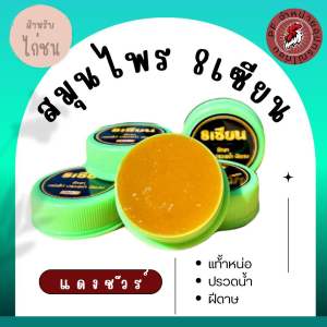 8 เซียน หน่อ ปรวดน้ำ สำหรับไก่/อาหารนก(ไก่)