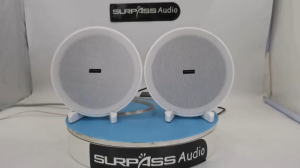 Home audio system 6.5 inch 15w bluetooth active ceiling speaker built-in class d amplifier abs material speaker for bathroom