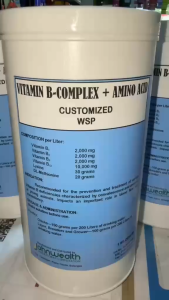 VITAMIN B-COMPLEX + AMINO ACIDS 1KG WSP