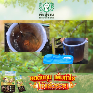 (1 แพ็ค/พร้อมส่ง) พืชสู้งาน สารเพิ่มประสิทธิภาพ ดินและพืช ชนิดผง 3in1 ใช้ได้ทั้งดินและพืชทุกชนิด ปรับสมดุลหน้าดิน รากพืชให้แข็งแรง ดูดซึมได้ดี