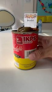 IKPS Szechuan Preserved Vegetable Cacoi Sayur Lobak Kaleng 340g