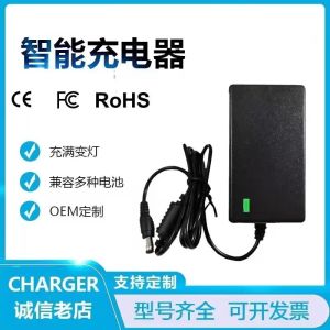 Electric Wrench Battery Charger 12V 16.8V 18V 21V 48V 36V 68V 98V Hand Drill Lithium Battery Charger for Outdoor Camping Travel