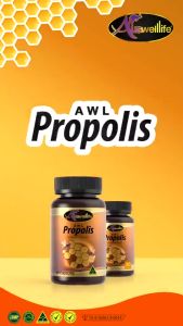 2 แถม 1 (ส่งฟรี) Auswelllife AWL Propolis พรอพโพลิส หรือโพรโพลิส 1000 mg. ลดการระคายเคือง (ขนาด 30 เม็ด) BKK Beauty Store