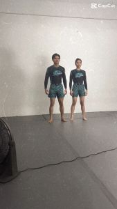 Diamonds Martial Arts Short Sleeve Rash Guard Compression: Your Ultimate Guide