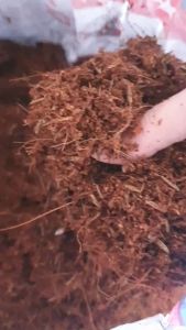 ดินกุหลาบสูตรสวนใช้   กระสอบใหญ่ 10 kg. แถมปุ๋ยบำรุง1กระปุก